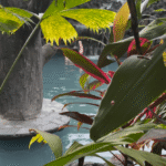 eaux thermales
