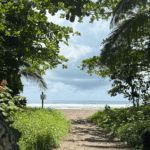 plage de Tortuguero