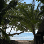 sentier vue sur la mer à Cahuita
