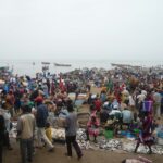 Marché au poisson au Sénégal