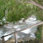 Cascade de Dunn's River Falls