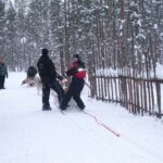 Sandy en balade en chien de traineau