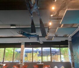 Nemo 33 vue sur le restaurant côté jardin