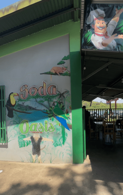 Soda Oasis