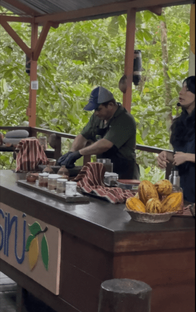 Guide expliquant l'origine du cacao