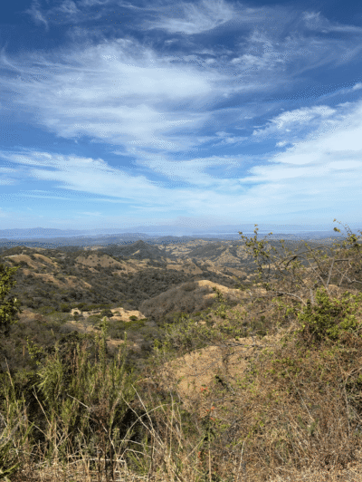 Vue du paysage à Monteverde