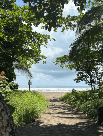 plage de Tortuguero