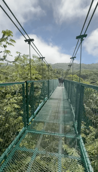 ponts suspendus Monteverde