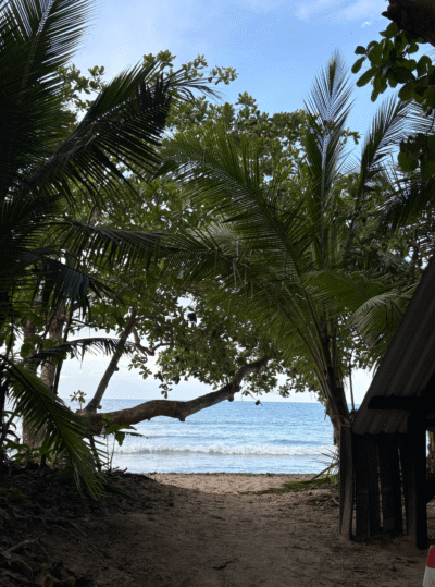 sentier vue sur la mer à Cahuita