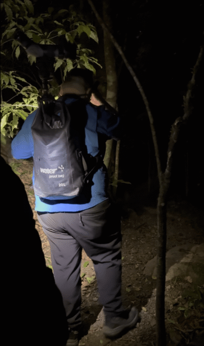 Tour nocturne