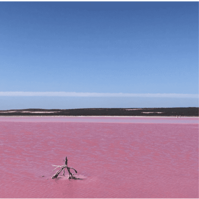 Lac Rose au Sénégal