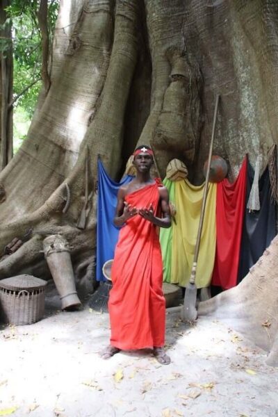 Les Diolas, peuple majoritaire de la Basse Casamance, se distinguent par une organisation traditionnelle basée sur l’égalité, où les castes sont absentes.