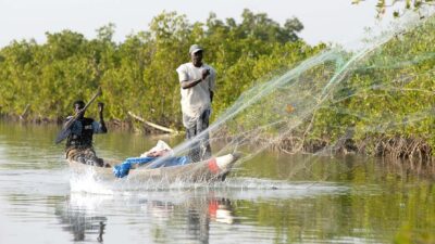 La pêche une activité typique du Sénégal et en particulier en Casamance