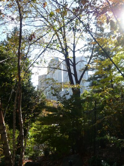 Vue depuis Central Park