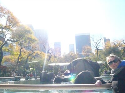 Au centre du Zoo de Central Park